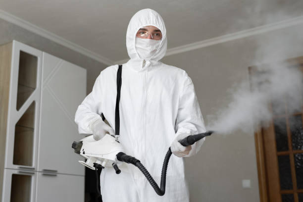 Professional Mold Removal & Remediation in Anchorage, KY